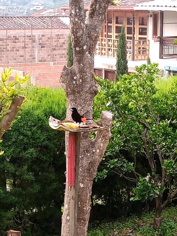 Bird House - Apartament Jardín Extérieur photo